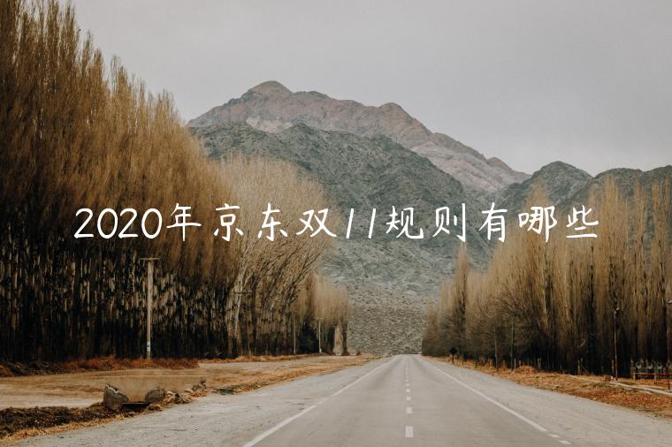 2023年京東雙11規(guī)則有哪些